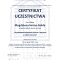 Powiększ obraz: certificate 21