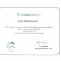 Powiększ obraz: certificate 3