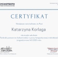 Powiększ obraz: certificate 3