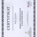 Powiększ obraz: certificate 2