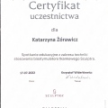 Powiększ obraz: certificate 6