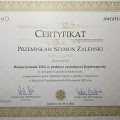 Powiększ obraz: certificate 9
