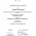 Powiększ obraz: certificate 1