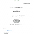 Powiększ obraz: certificate 9