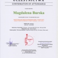 Powiększ obraz: certificate 21