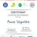 Powiększ obraz: certificate 17