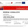 Powiększ obraz: certificate 4