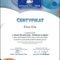 Powiększ obraz: certificate 1