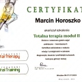 Powiększ obraz: certificate 9