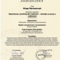 Powiększ obraz: certificate 22