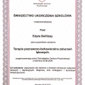 Powiększ obraz: certificate 7