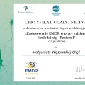 Powiększ obraz: certificate 100