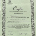 Powiększ obraz: certificate 15
