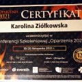 Powiększ obraz: certificate 6
