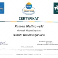 Powiększ obraz: certificate 13