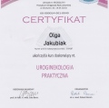 Powiększ obraz: certificate 17