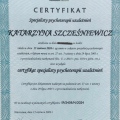 Powiększ obraz: certificate 5