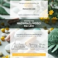 Powiększ obraz: certificate 3