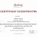 Powiększ obraz: certificate 2