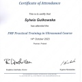 Powiększ obraz: certificate 1