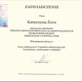 Powiększ obraz: certificate 1
