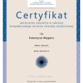 Powiększ obraz: certificate 1