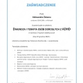Powiększ obraz: certificate 1