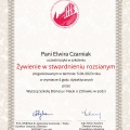Powiększ obraz: certificate 3