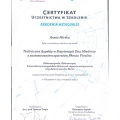 Powiększ obraz: certificate 13
