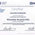 Powiększ obraz: certificate 4