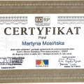 Powiększ obraz: certificate 10