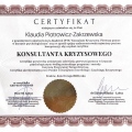Powiększ obraz: certificate 8