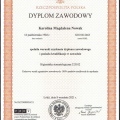 Powiększ obraz: certificate 1