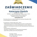 Powiększ obraz: certificate 2