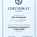 Powiększ obraz: certificate 4