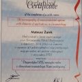 Powiększ obraz: certificate 4