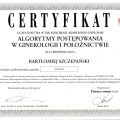 Powiększ obraz: certificate 15