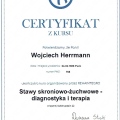 Powiększ obraz: certificate 18