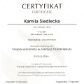 Powiększ obraz: certificate 11