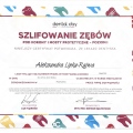 Powiększ obraz: certificate 5