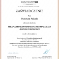 Powiększ obraz: certificate 2
