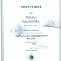 Powiększ obraz: certificate 22