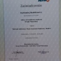 Powiększ obraz: certificate 13