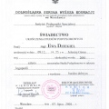 Powiększ obraz: certificate 1