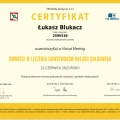 Powiększ obraz: certificate 342