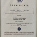 Powiększ obraz: certificate 2