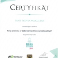 Powiększ obraz: certificate 10
