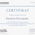 Powiększ obraz: certificate 5