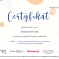 Powiększ obraz: certificate 4
