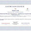 Powiększ obraz: certificate 48
